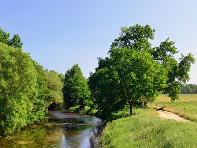 Sandweg entlang der Aller