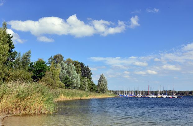 Seebucht mit Segelbooten am Tankumsee.