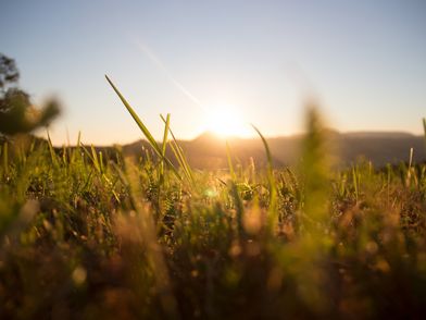 redaktionell gepflegt: Titel redaktionell gepflegt: alternativer Text